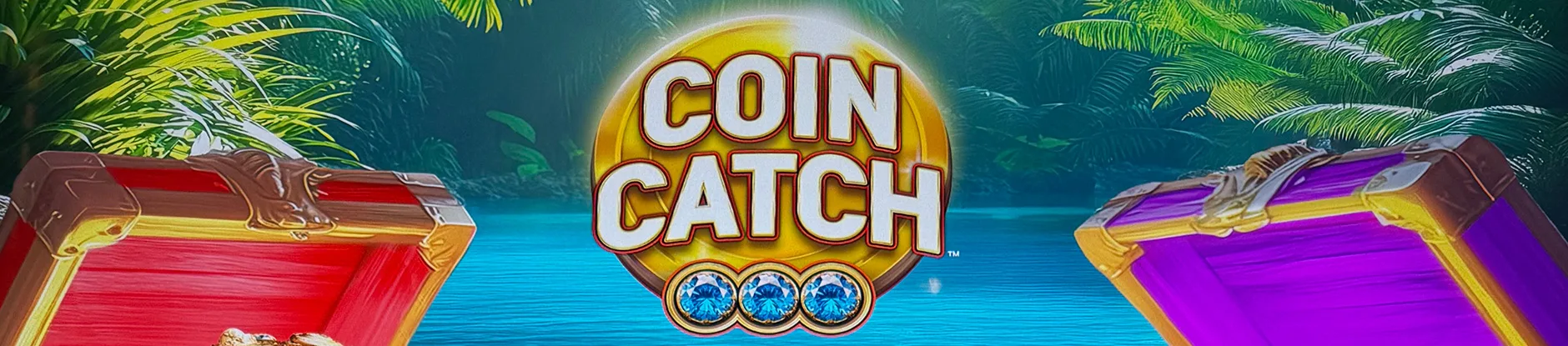 Coin Catch title