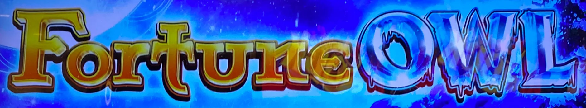 Fortune Owl title