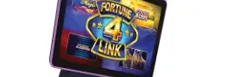 Fortune 4 Link title